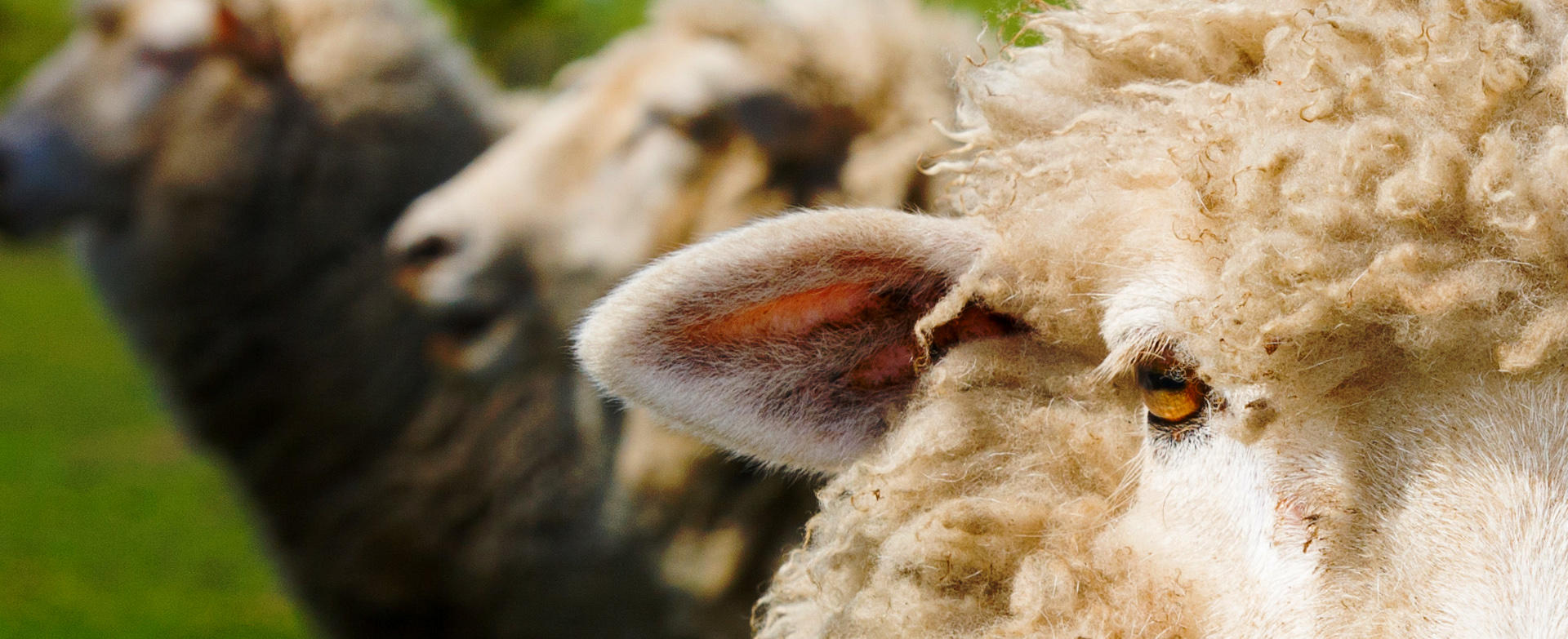 Fabrizio Frabetti, Intervallo (2020), foto di copertina.